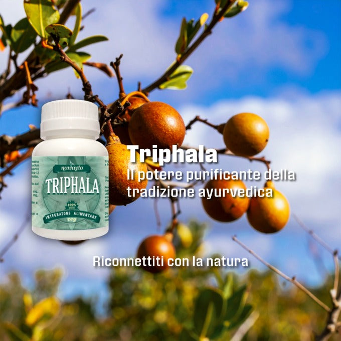 Triphala: La Triplice Alleanza Ayurvedica per il Benessere Digestivo e la Purificazione