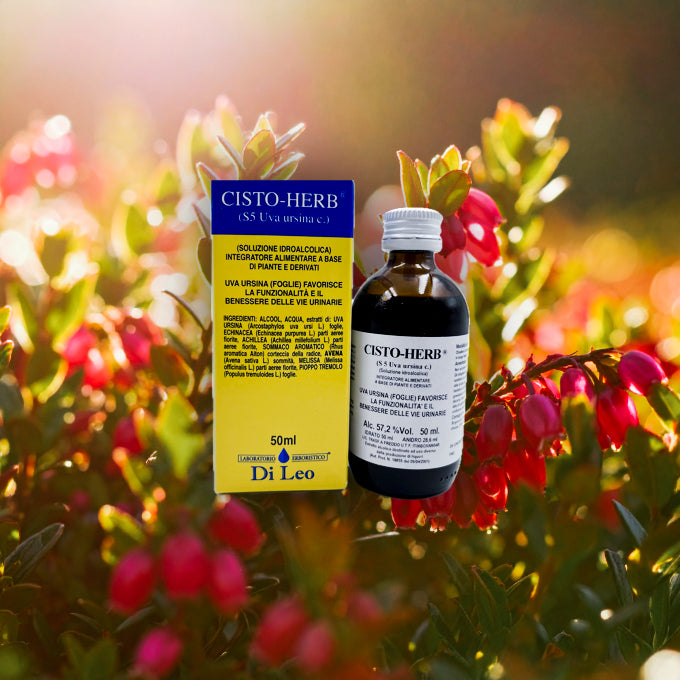 Uva Ursina: Il Rimedio Naturale per il Benessere delle Vie Urinarie