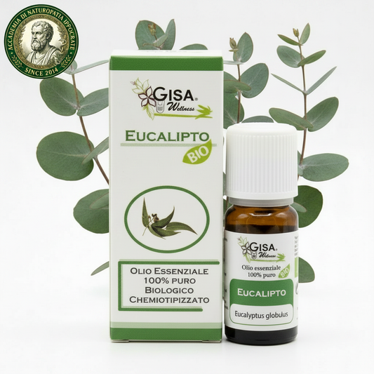 Eucalipto BIO 10ml – Olio Essenziale