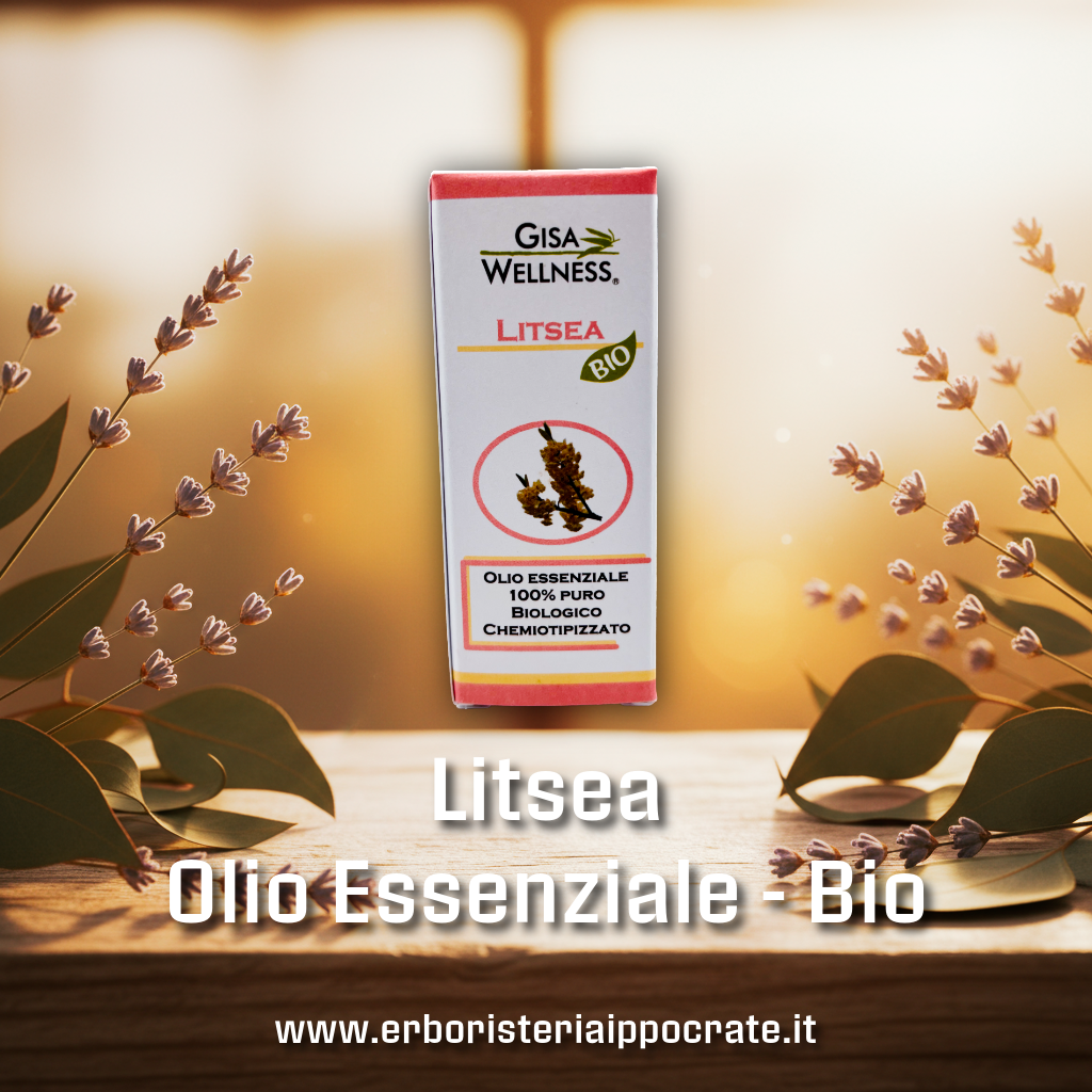 Litsea BIO 10ml – Olio Essenziale