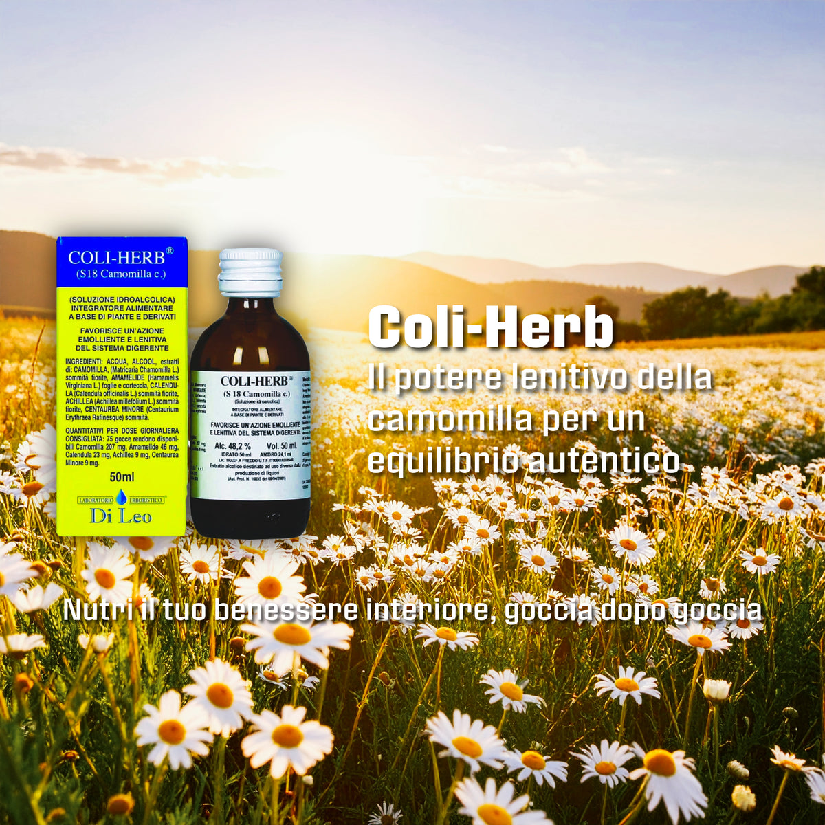 Coli-Herb Camomilla 50ml | Erboristeria Ippocrate