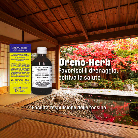 Dreno-Herb® (S65 Solidago c.) – 50ml