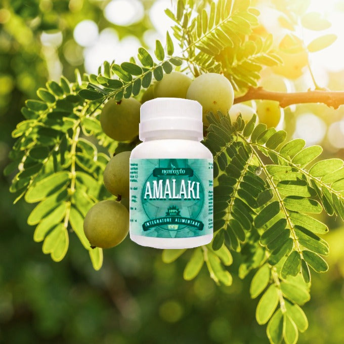 Le virtù della pianta Amalaki