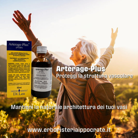 Circolazione e Benessere Vascolare: Il Supporto Naturale delle Piante