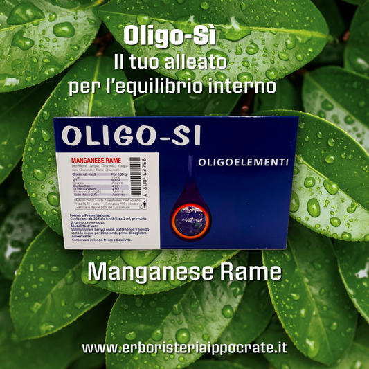 Oligoelementi: i piccoli minerali che parlano il linguaggio della vita