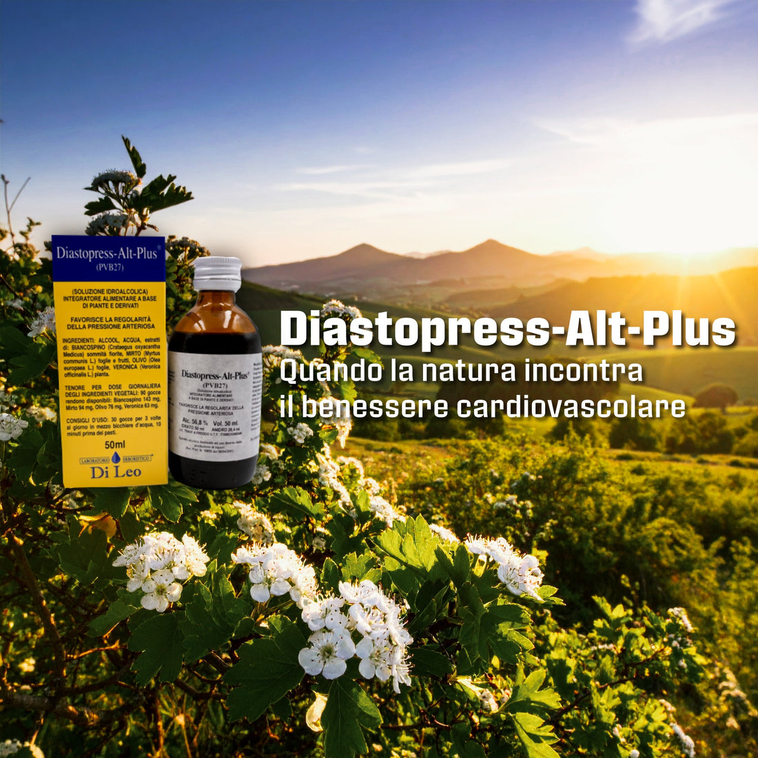 Diastopress-Alt-Plus: Composto Erboristico di Biancospino e Olivo