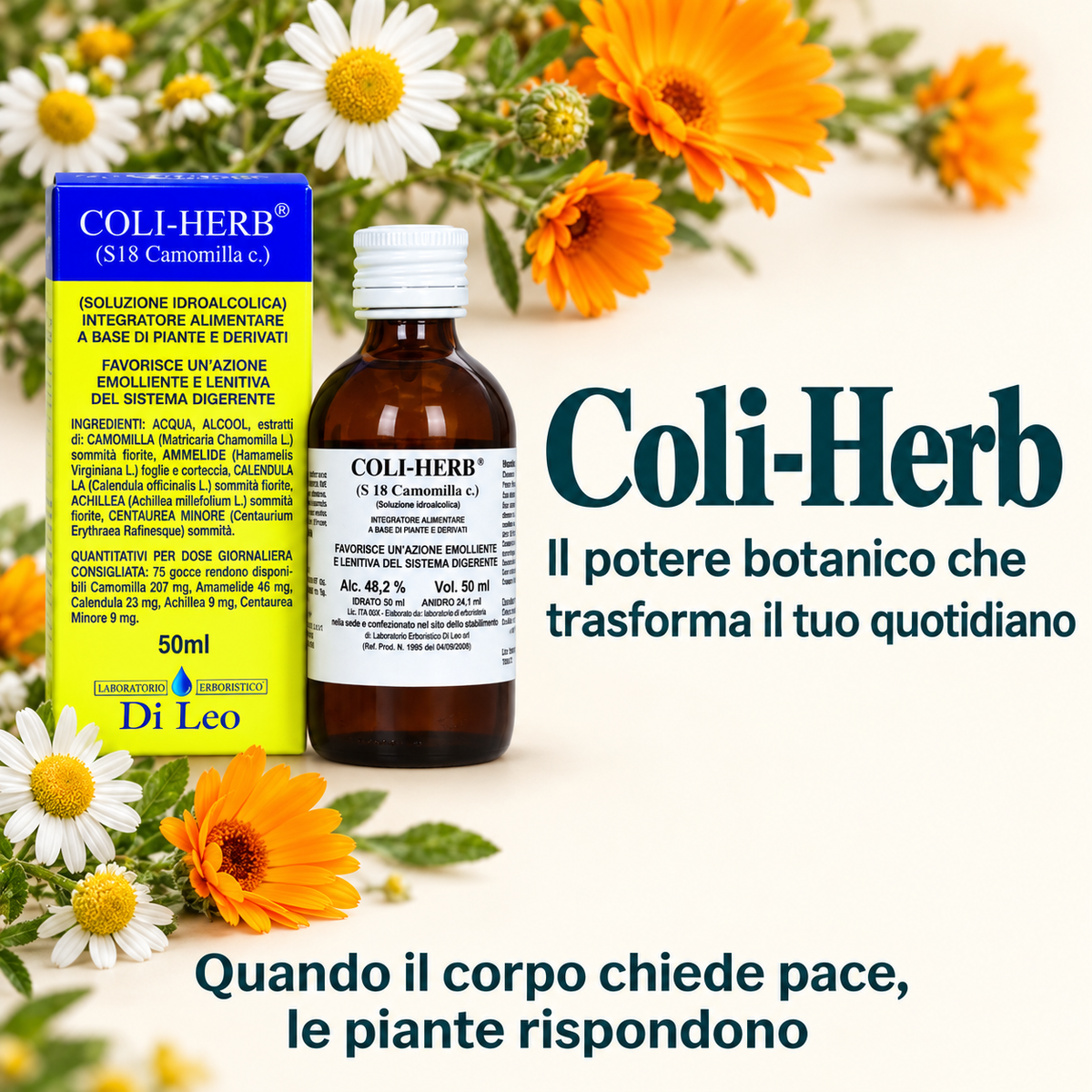 Coli-Herb Camomilla Di Leo 50ml | Erboristeria Ippocrate