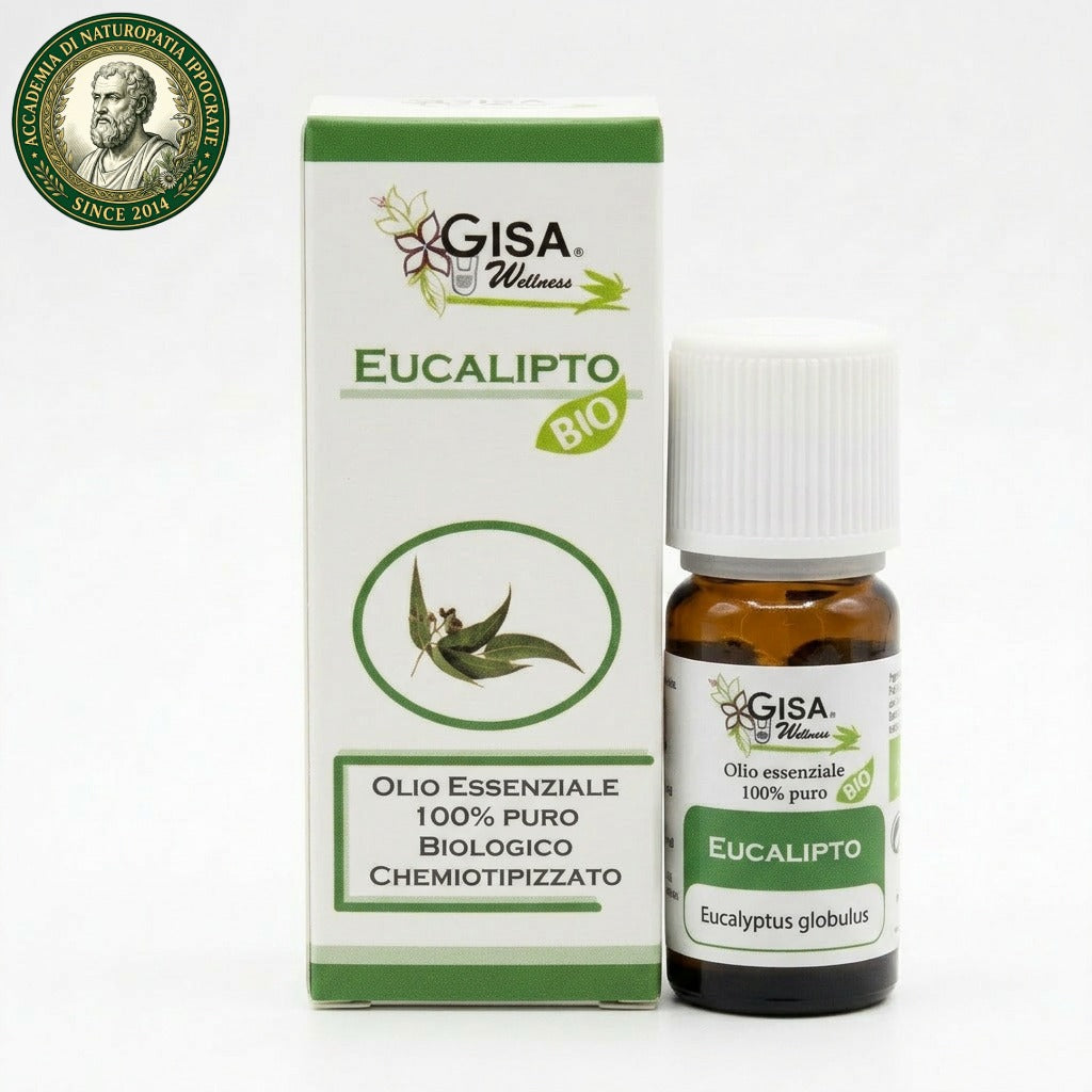 Eucalipto BIO 10ml – Olio Essenziale