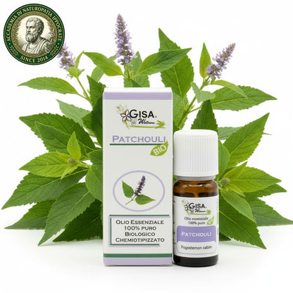 Patchouli BIO 5ml – Olio Essenziale