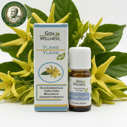 Ylang Ylang BIO 10ml – Olio Essenziale