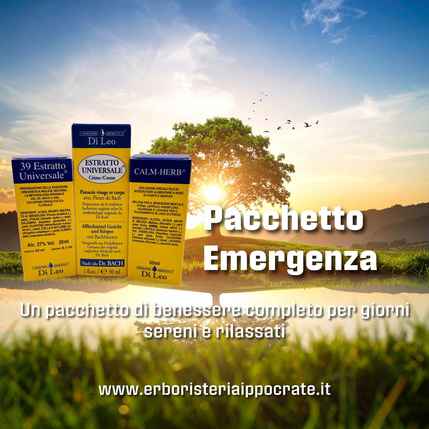 Pacchetto Emergenza