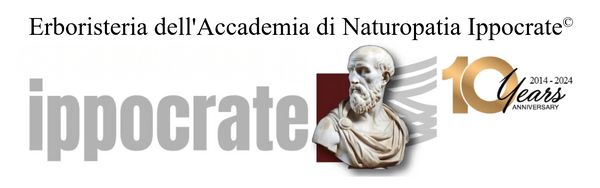 ACCADEMIA IPPOCRATE srl