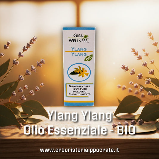 Ylang Ylang BIO 10ml – Olio Essenziale