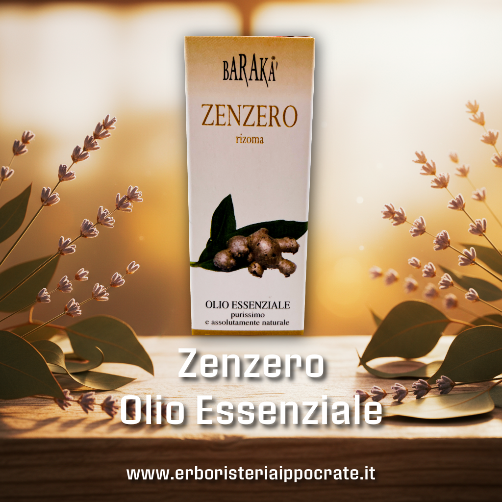Zenzero 12ml – Olio Essenziale