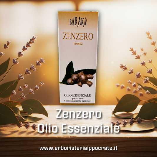 Zenzero 12ml – Olio Essenziale