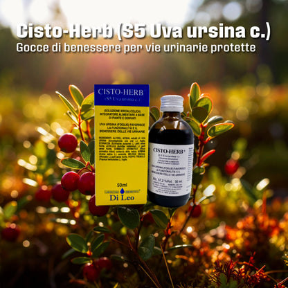 Cisto-Herb® (S5 Uva ursina c.) – 50ml