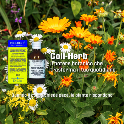 Coli-Herb® Di Leo (S18 Camomilla c.) – 50ml