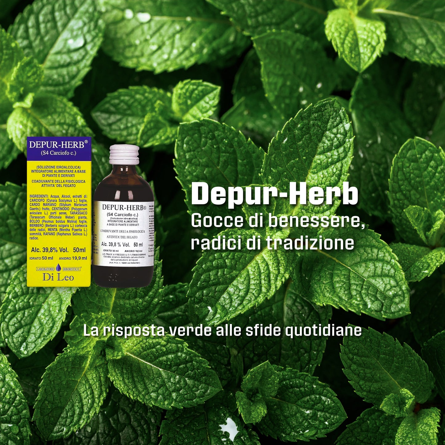 Depur-Herb® Di Leo (S4 Carciofo c.) – 50ml