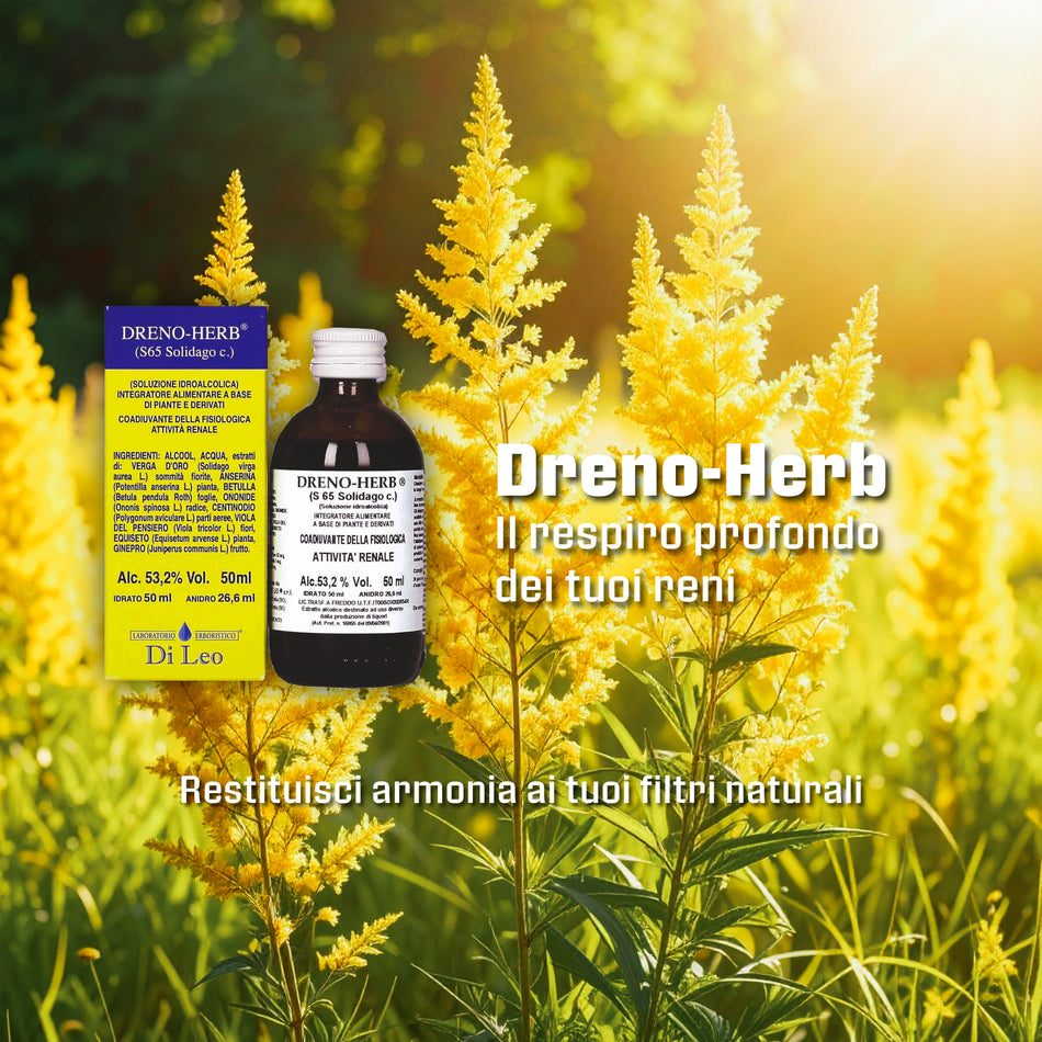 Dreno-Herb® (S65 Solidago c.) – 50 ml