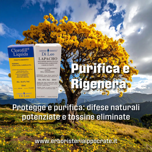 Pacchetto Purifica & Rigenera