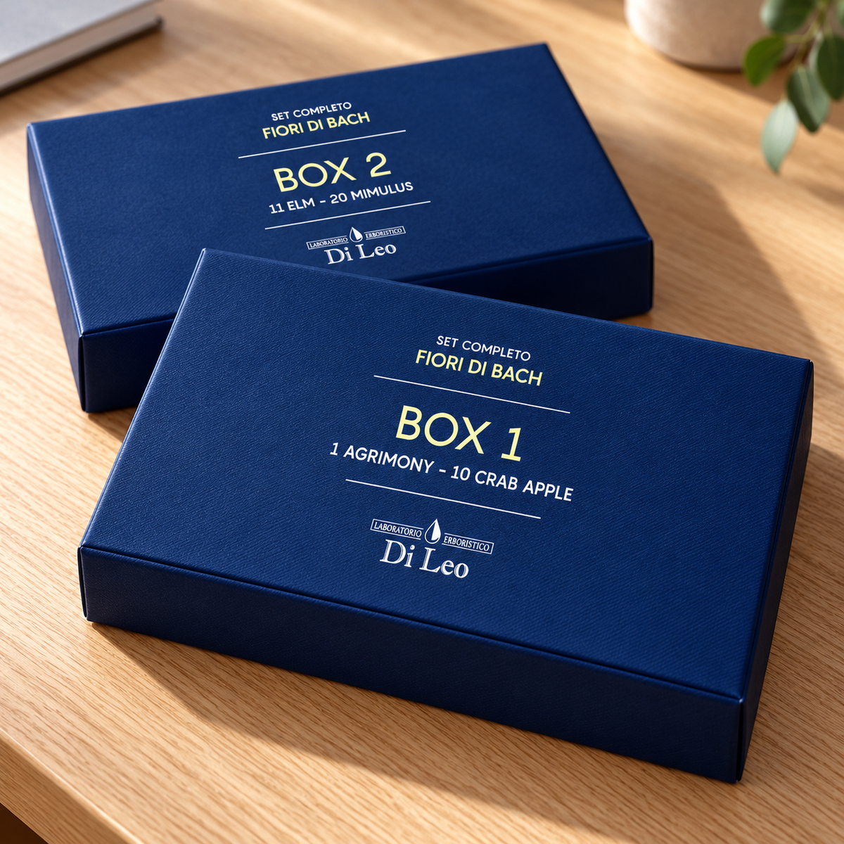 Box 1 e Box 2 del Set completo Fiori di Bach Di Leo