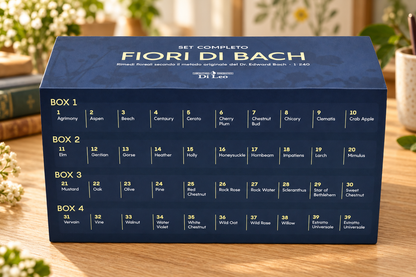 Cofanetto Set completo Fiori di Bach Di Leo con l'elenco dei rimedi suddivisi nei quattro box