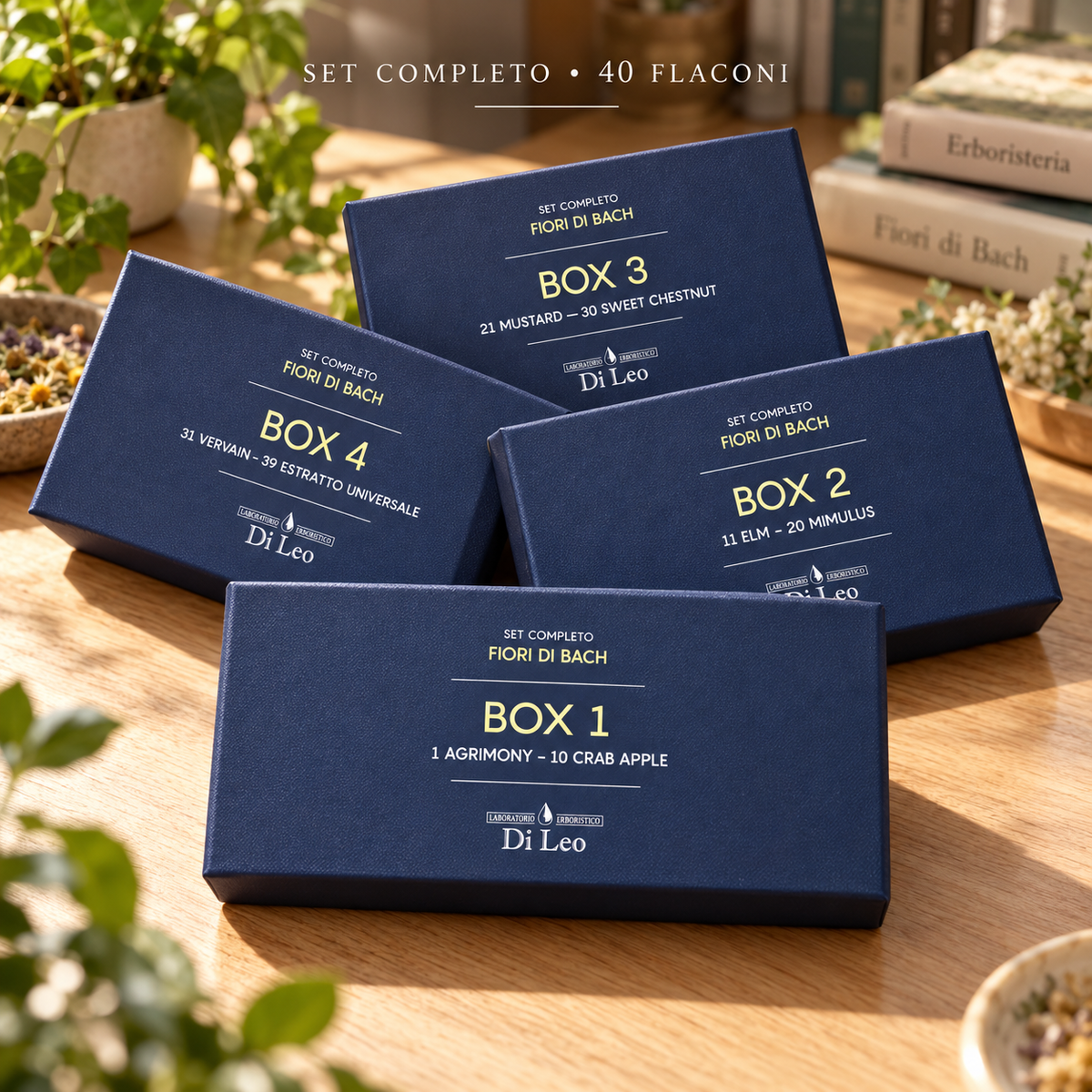 I quattro box numerati del Set completo Fiori di Bach Di Leo